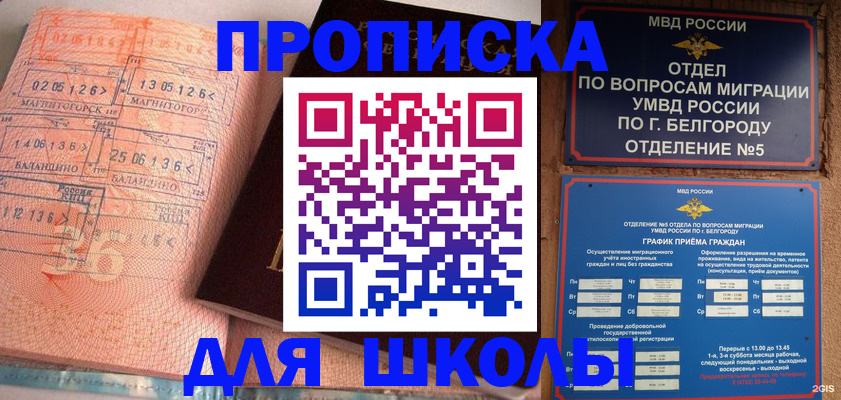 прописка гарантия в Колпашево